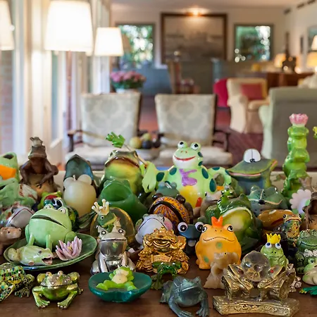 Franceschi 4* Форте-дей-Мармі