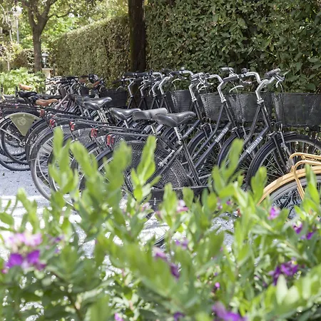 Готель Franceschi Форте-дей-Мармі