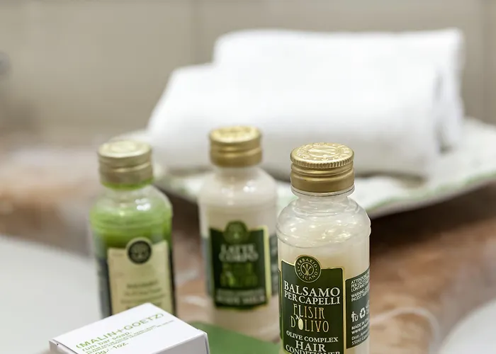 Hotel Franceschi Forte dei Marmi